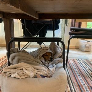 Meet your Posher, Loreto